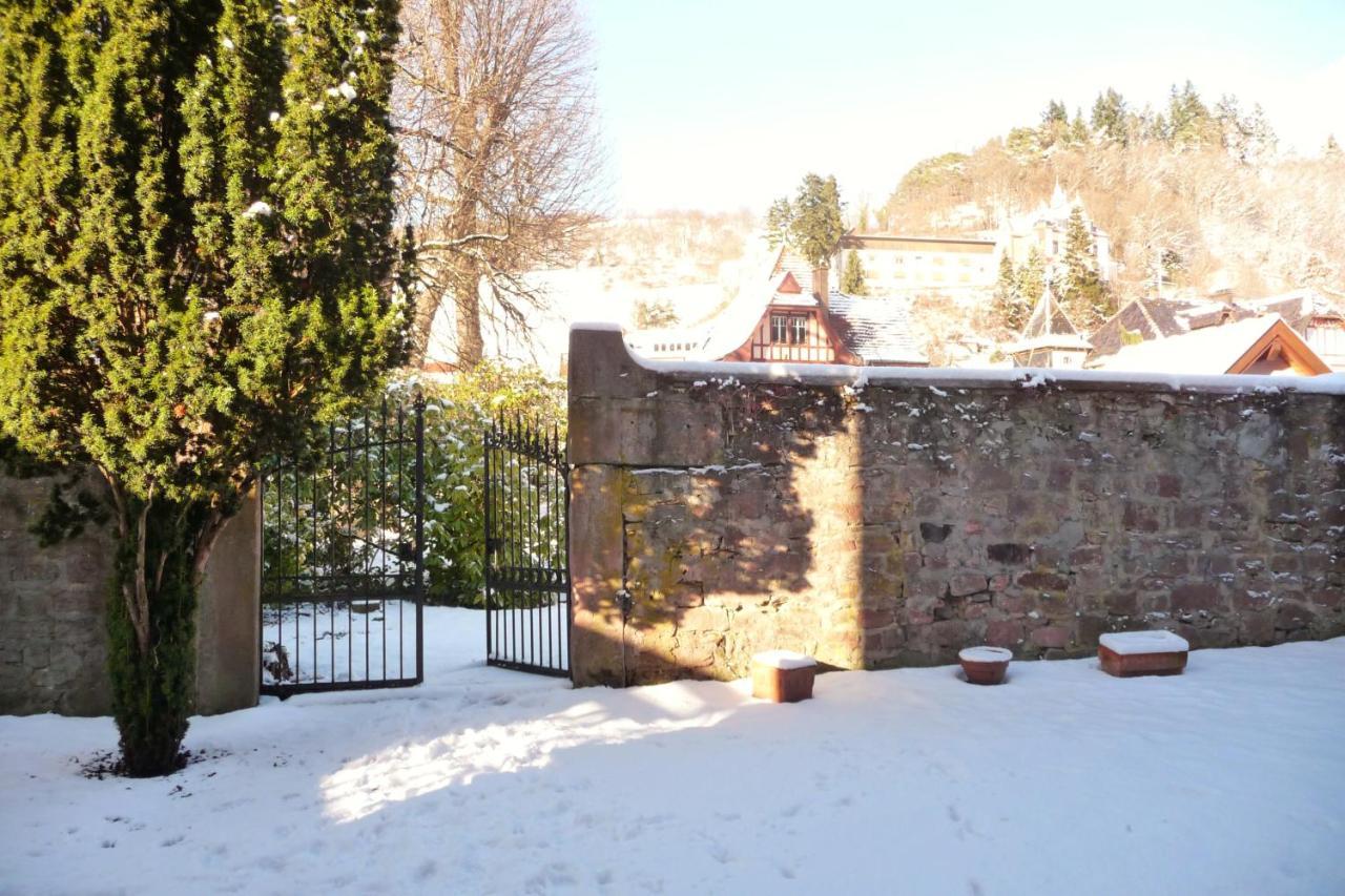 B&B La Cle D'Alsace Sainte-Marie-aux-Mines Exterior foto